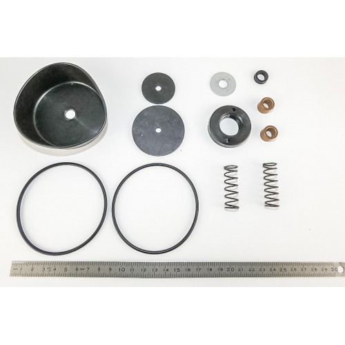 Kit De Servicio Válvula De Vacío 2''