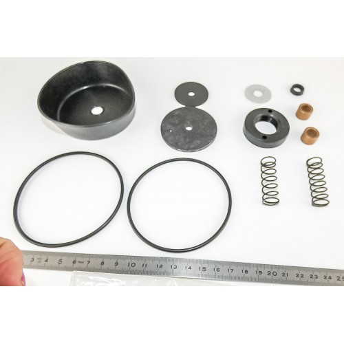 Kit De Servicio Válvula De Vacío 2''